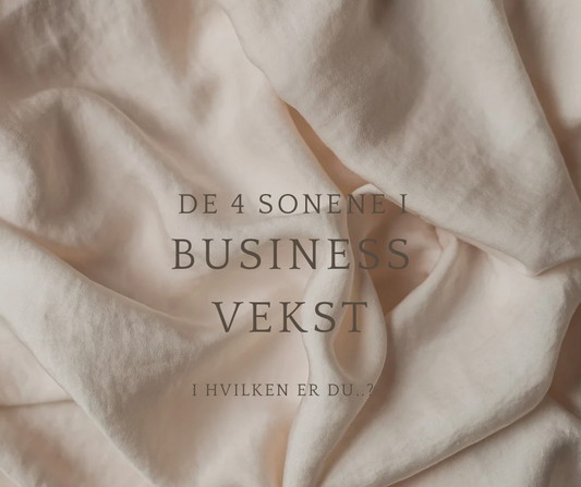 De 4 sonene i businessvekst