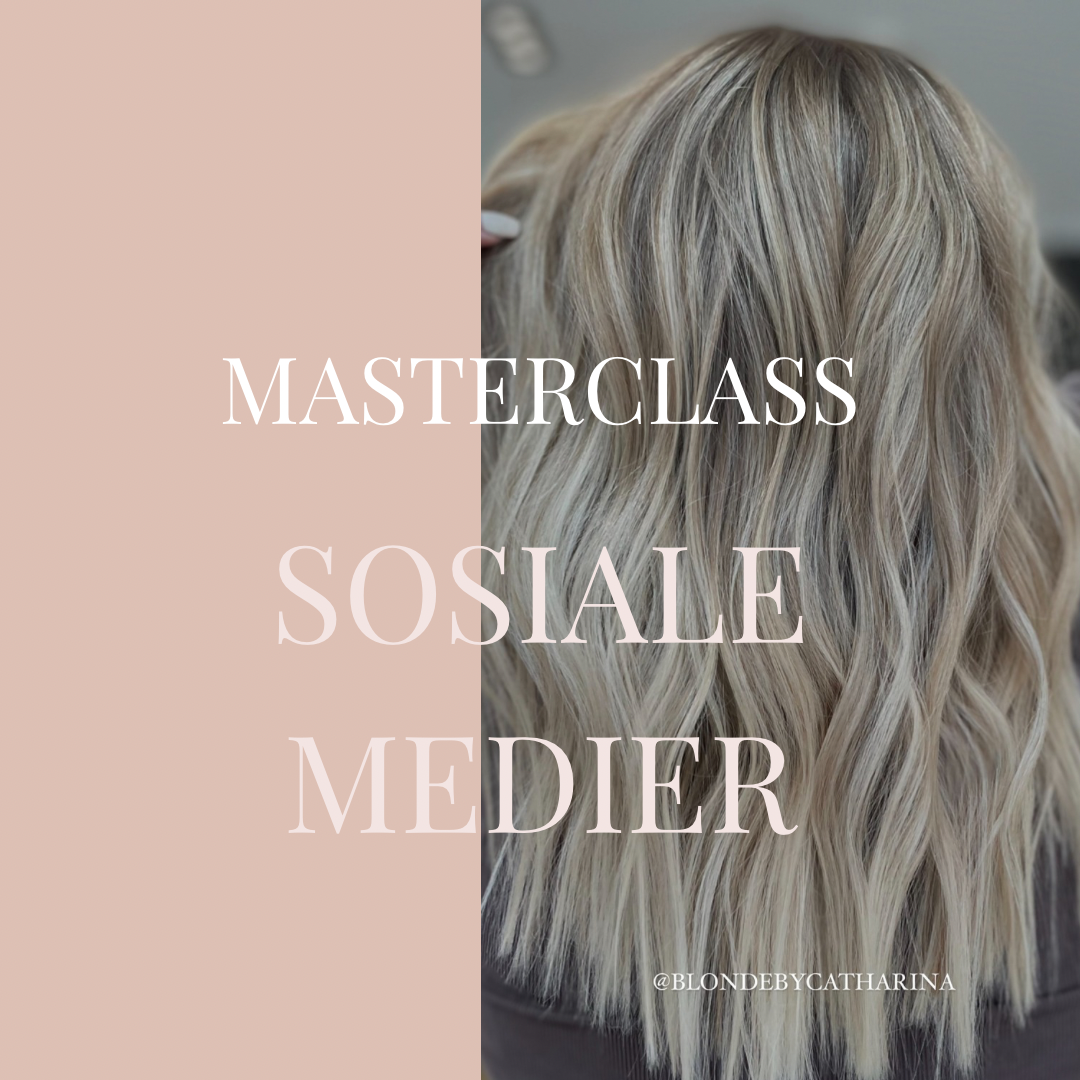 MASTERCLASS SOSIALE MEDIER (DIN SALONG)