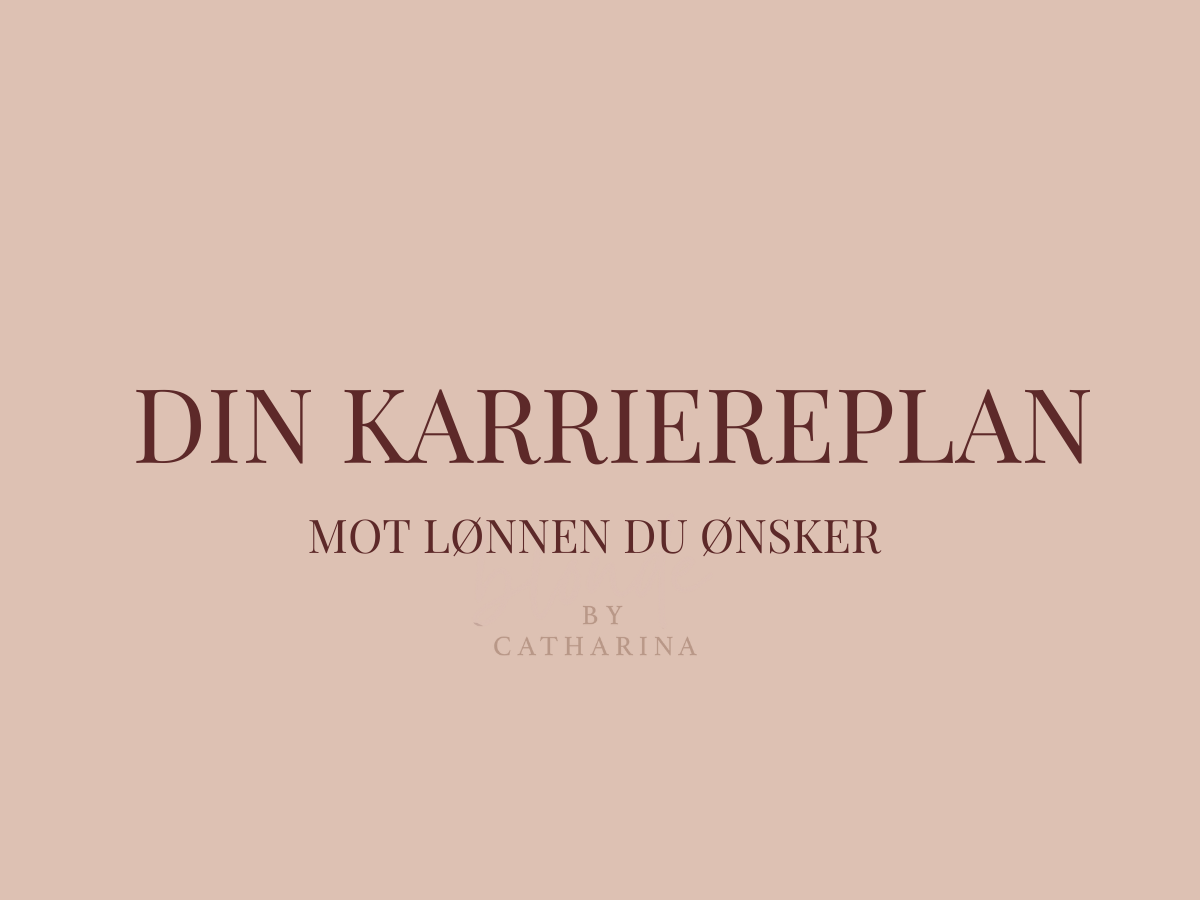 DIN KARRIEREPLAN - Mot lønnen du ønsker