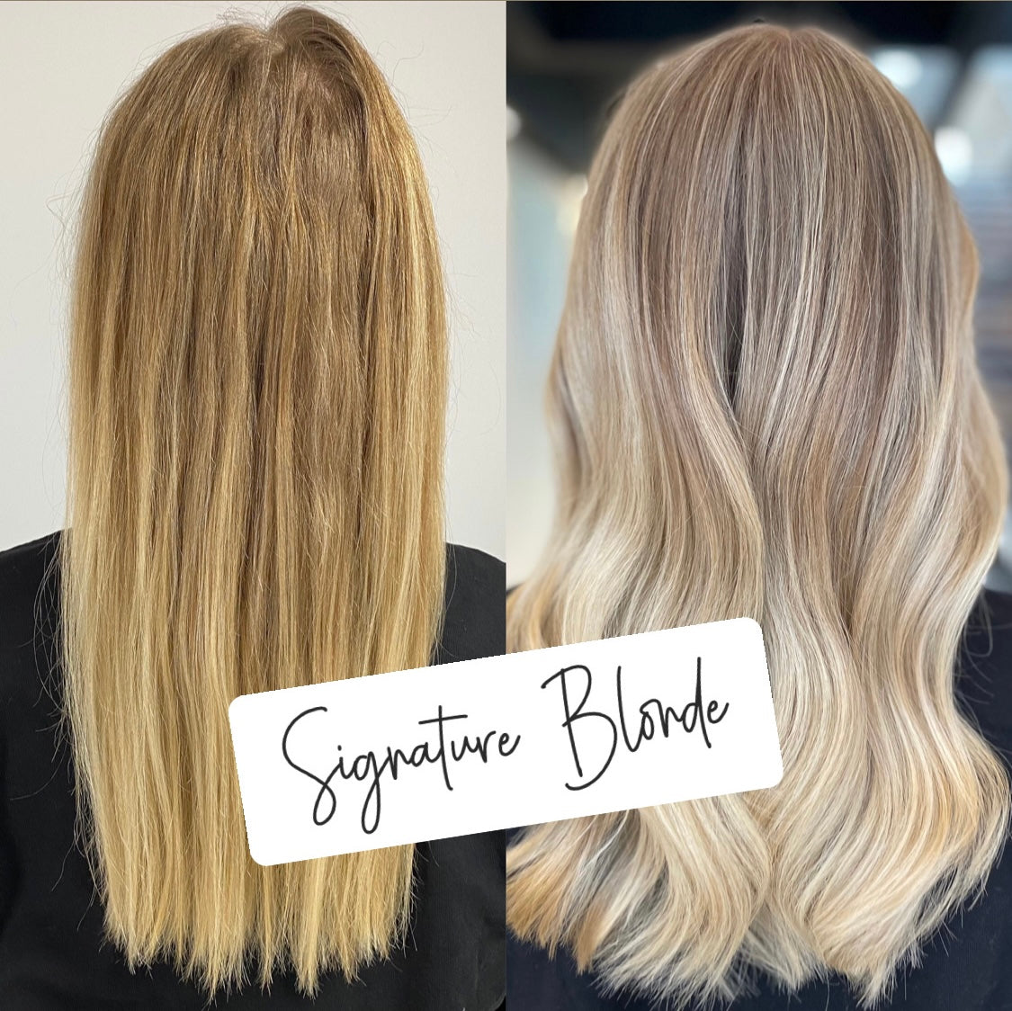 @BlondeByCatharina Signature Blonde (ONLINE KURS)